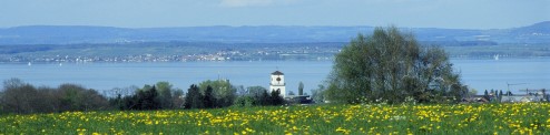 Blick auf Gttingen 120 X 494