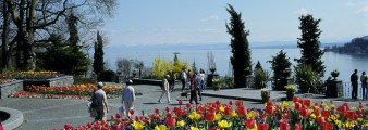 Mainau Banner