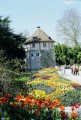 Mainau Grtnerturm03