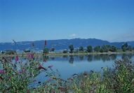 Rheinmündung vom Neuen Rhein