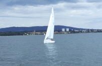 Segelschiff vor Immenstaad